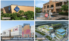 31.由代办署理人打点申请房地产
